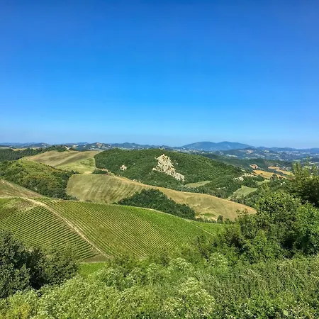 Flat On A Farm With Swimming Pool And Many Activities SantʼAngelo in Vado