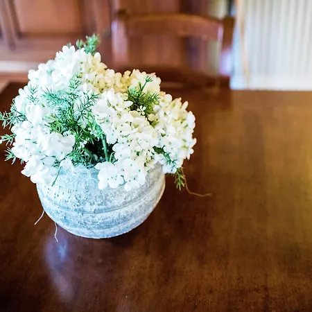 Vakantiehuis Flat On A Farm With Swimming Pool And Many Activities