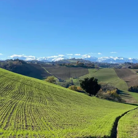 Holiday home Flat On A Farm With Swimming Pool And Many Activities Sant'Angelo in Vado