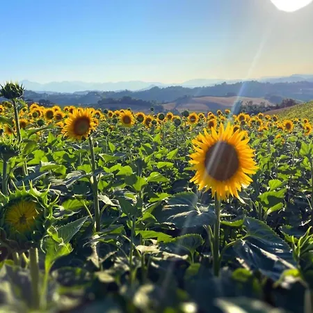 Vakantiehuis Flat On A Farm With Swimming Pool And Many Activities *