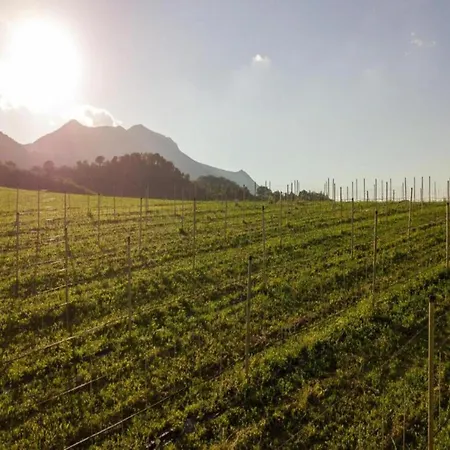 Vakantiehuis Flat On A Farm With Swimming Pool And Many Activities SantʼAngelo in Vado